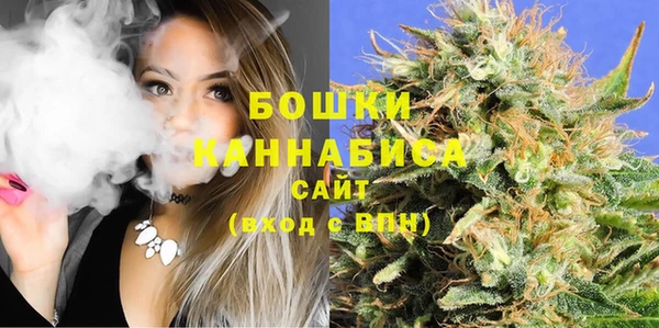 шишки Армянск