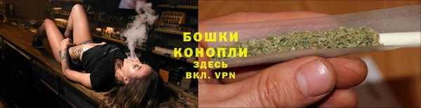шишки Армянск
