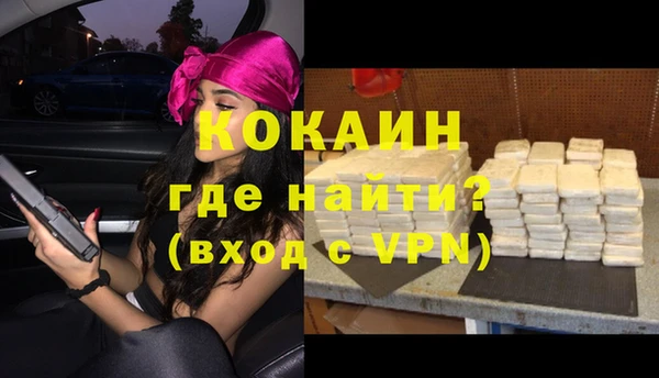 шишки Армянск