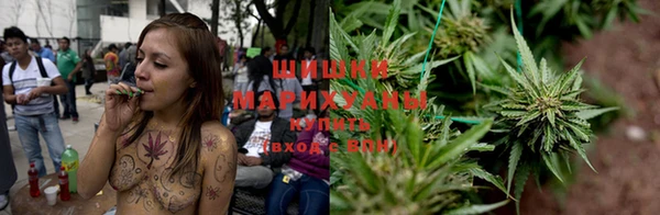 тгк Арсеньев