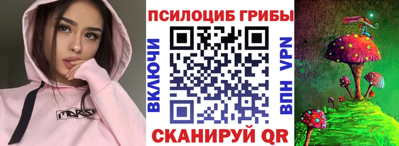 Галлюциногенные грибы MAGIC MUSHROOMS  наркотики  даркнет формула  Никольск 